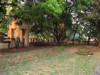 Rajani's garden