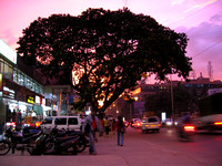 Aiport road by sunset