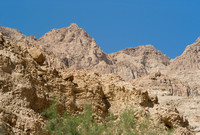 Dead Sea - March 2008