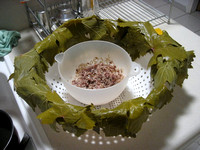 Cooked Wine Leaves with Ground Lamb