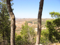 Between Irbid and Jerash