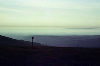 Brume