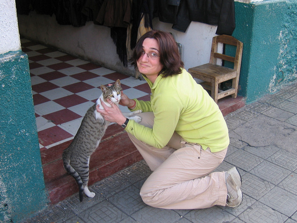Amel and cats