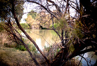 Secret ponds